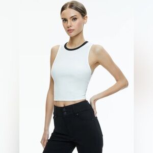 Andre Fitted Crop Top